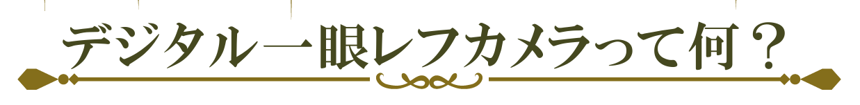 デジタル一眼レフカメラって何