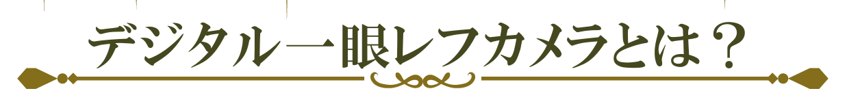 デジタル一眼レフカメラとは